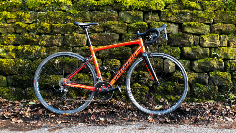 specialized allez mudguards